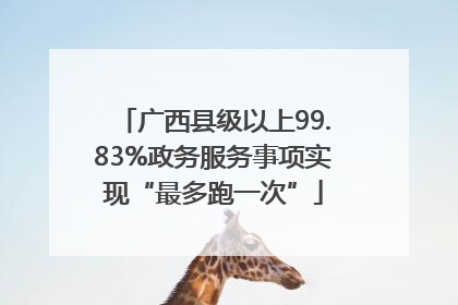 广西县级以上99.83%政务服务事项实现“最多跑一次”