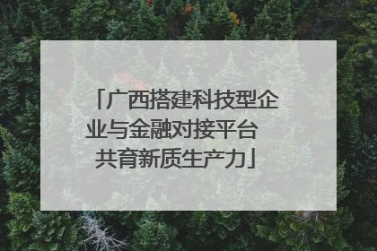 广西搭建科技型企业与金融对接平台 共育新质生产力