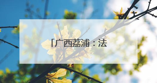 广西荔浦：法制宣传走“新”更走“心”