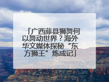 广西藤县狮舞何以舞动世界？海外华文媒体探秘“东方狮王”炼成记