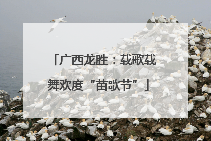 广西龙胜：载歌载舞欢度“苗歌节”