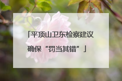 平顶山卫东检察建议确保“罚当其错”