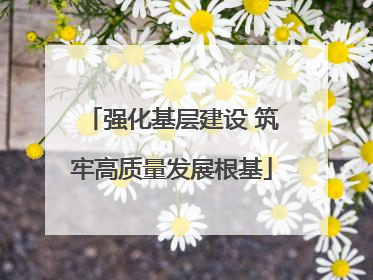 强化基层建设 筑牢高质量发展根基