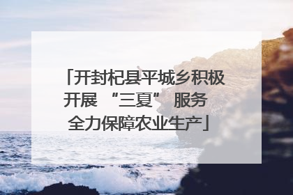 开封杞县平城乡积极开展 “三夏” 服务 全力保障农业生产