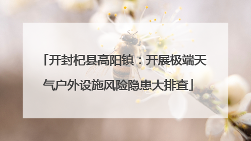 开封杞县高阳镇：开展极端天气户外设施风险隐患大排查