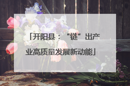 开阳县：“链”出产业高质量发展新动能