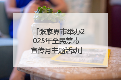 张家界市举办2025年全民禁毒宣传月主题活动