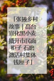 张掖乡村故事｜高台宣化黑小麦撬开市民面柜子 石磨激活村集体钱匣子