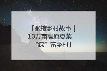 张掖乡村故事｜10万亩高原夏菜“绿”富乡村