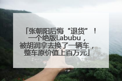 张朝阳后悔“退货”！一个绝版Labubu，被胡润拿去换了一辆车，整车原价值上百万元