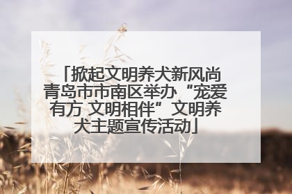 掀起文明养犬新风尚 青岛市市南区举办“宠爱有方 文明相伴”文明养犬主题宣传活动
