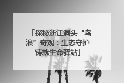 探秘浙江洞头“鸟浪”奇观：生态守护铸就生命驿站