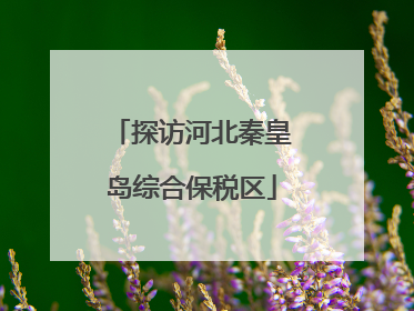 探访河北秦皇岛综合保税区