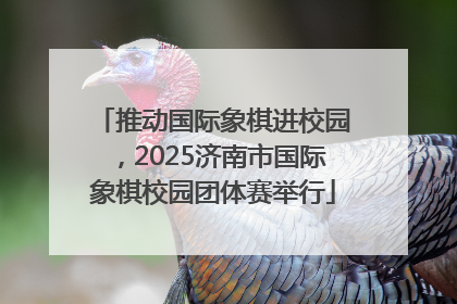 推动国际象棋进校园，2025济南市国际象棋校园团体赛举行