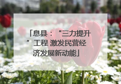 息县：“三力提升”工程 激发民营经济发展新动能