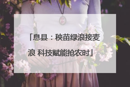 息县：秧苗绿浪接麦浪 科技赋能抢农时