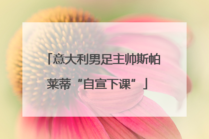 意大利男足主帅斯帕莱蒂“自宣下课”