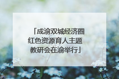 成渝双城经济圈红色资源育人主题教研会在渝举行