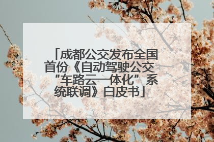 成都公交发布全国首份《自动驾驶公交“车路云一体化”系统联调》白皮书