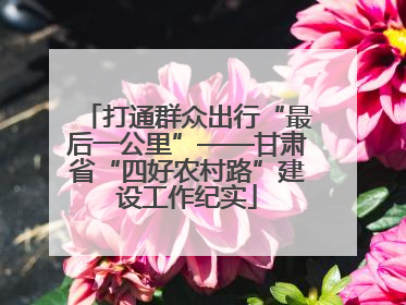 打通群众出行“最后一公里”——甘肃省“四好农村路”建设工作纪实