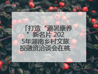 打造“避暑康养”新名片 2025年湖南乡村文旅投融资洽谈会在桃江举办
