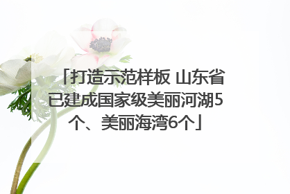 打造示范样板 山东省已建成国家级美丽河湖5个、美丽海湾6个