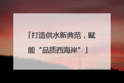 打造供水新典范，赋能“品质西海岸”