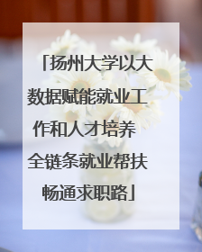扬州大学以大数据赋能就业工作和人才培养 全链条就业帮扶畅通求职路