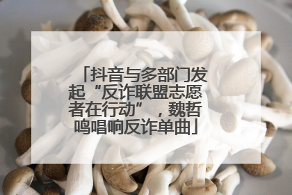 抖音与多部门发起“反诈联盟志愿者在行动”，魏哲鸣唱响反诈单曲
