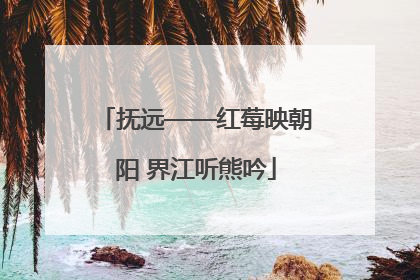 抚远——红莓映朝阳 界江听熊吟
