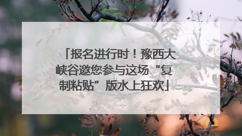 报名进行时！豫西大峡谷邀您参与这场“复制粘贴”版水上狂欢