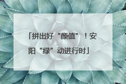 拼出好“颜值”！安阳“绿”动进行时