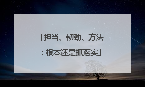 担当、韧劲、方法：根本还是抓落实