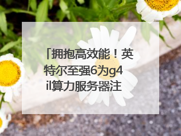 拥抱高效能！英特尔至强6为g4il算力服务器注入强大动力