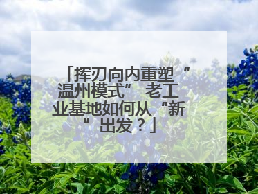 挥刃向内重塑“温州模式” 老工业基地如何从“新”出发？
