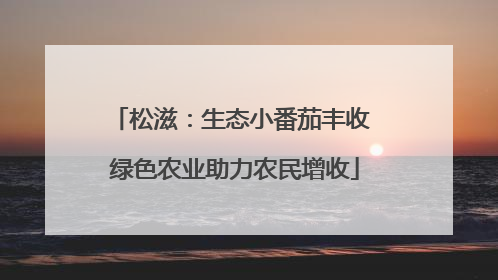 松滋：生态小番茄丰收 绿色农业助力农民增收