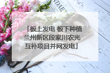 板上发电 板下种植 兰州新区段家川农光互补项目并网发电