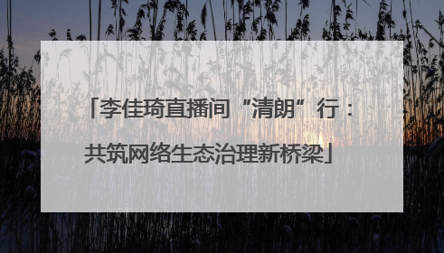 李佳琦直播间“清朗”行：共筑网络生态治理新桥梁