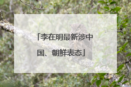 李在明最新涉中国、朝鲜表态