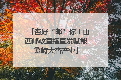 杏好“邮”你！山西邮政直播直发赋能繁峙大杏产业