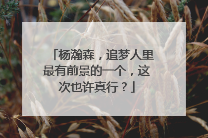杨瀚森，追梦人里最有前景的一个，这次也许真行？