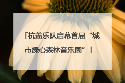 杭盖乐队启幕首届“城市绿心森林音乐周”