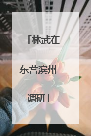 林武在东营滨州调研