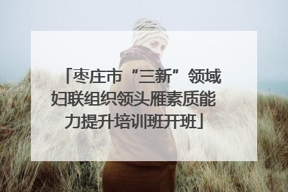 枣庄市“三新”领域妇联组织领头雁素质能力提升培训班开班