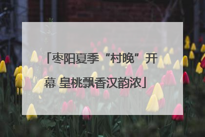 枣阳夏季“村晚”开幕 皇桃飘香汉韵浓