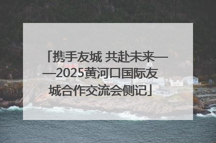 携手友城 共赴未来——2025黄河口国际友城合作交流会侧记
