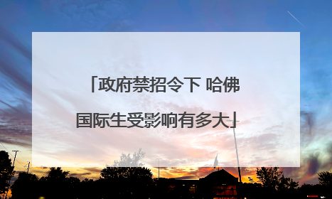 政府禁招令下 哈佛国际生受影响有多大