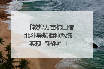 敦煌万亩棉田借北斗导航播种系统实现“精种”