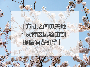 方寸之间见天地：从特区试验田到提振消费引擎