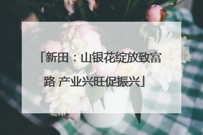 新田：山银花绽放致富路 产业兴旺促振兴